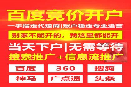 SEM托管服务，案例分享转化成果